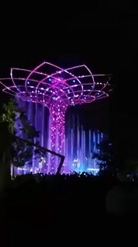 Albero EXPO con spettacolo
