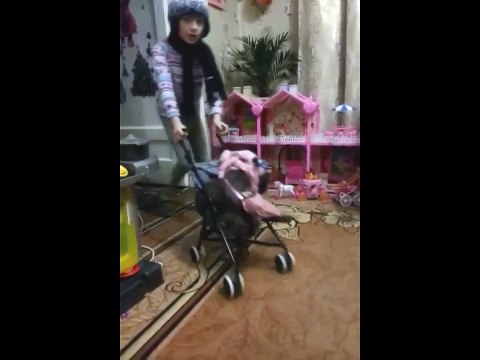 Кошка вместо куклы!