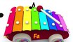 Jouets pour bébé  - xylophone. Apprendre les notes de musique pour les petits. Learn French