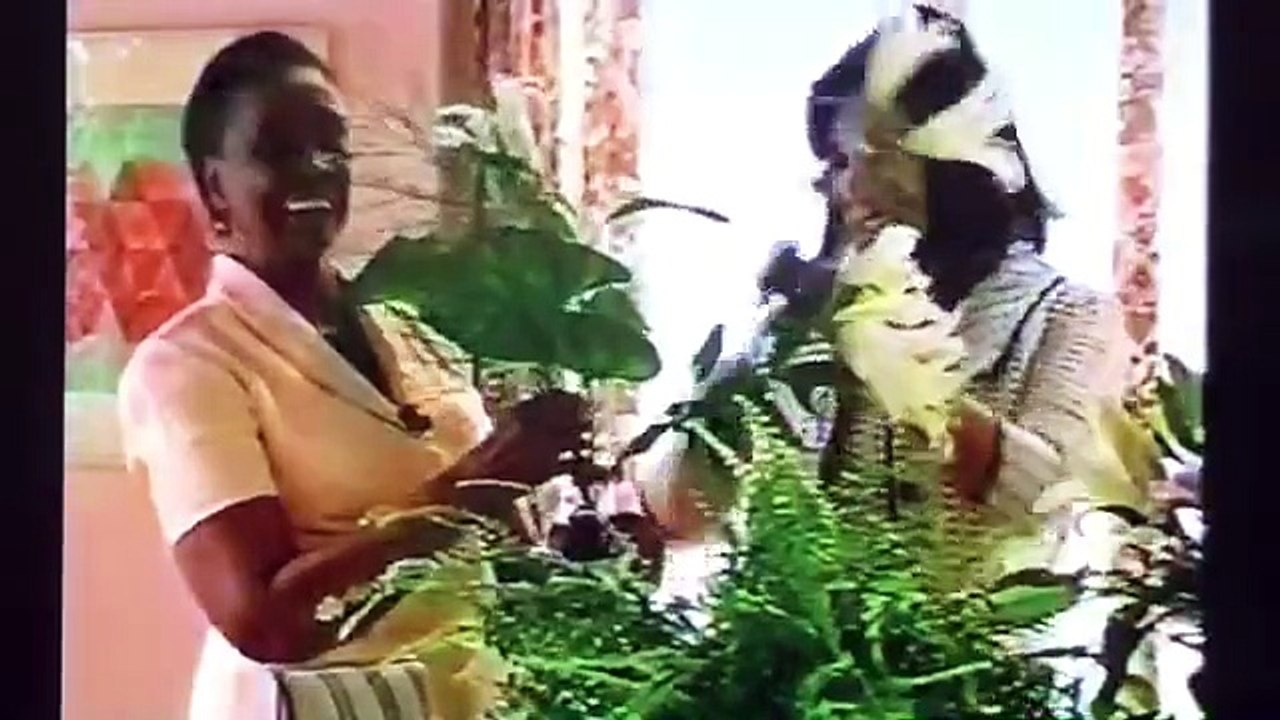 Antonio e Luíza - Cidadão - vídeo 969