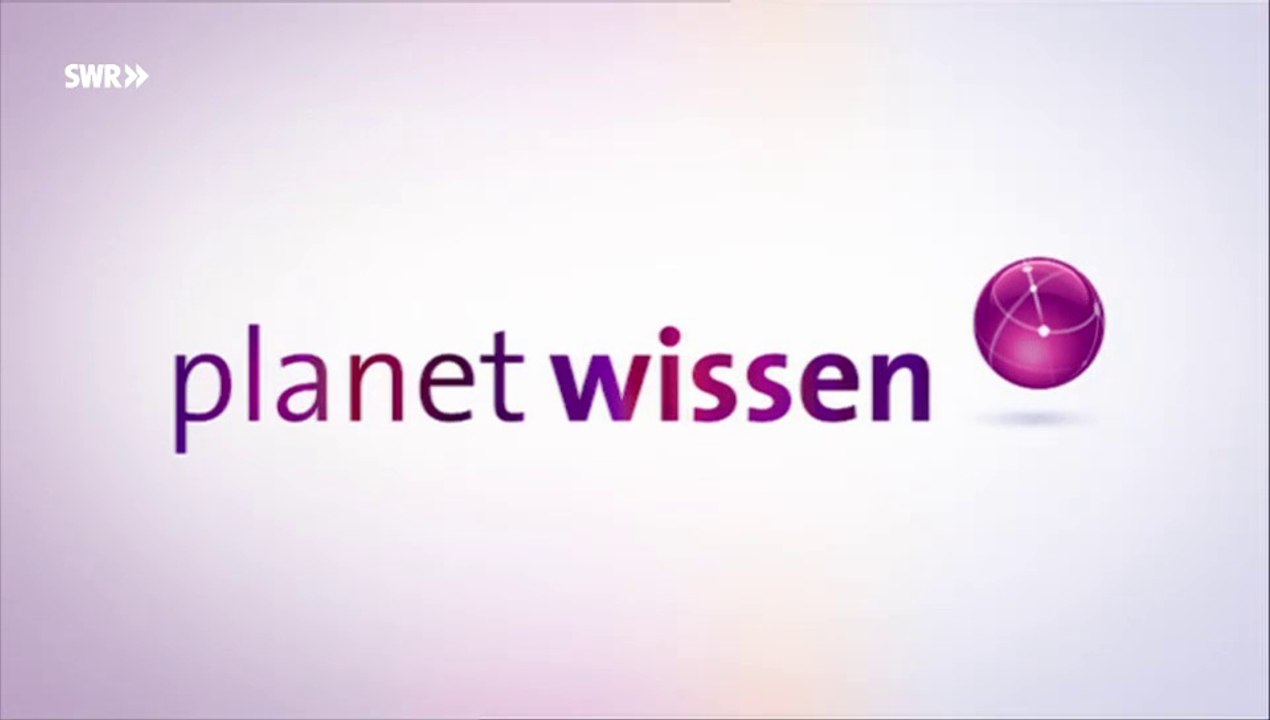 Die lange Partnerschaft zwischen Hund und Mensch