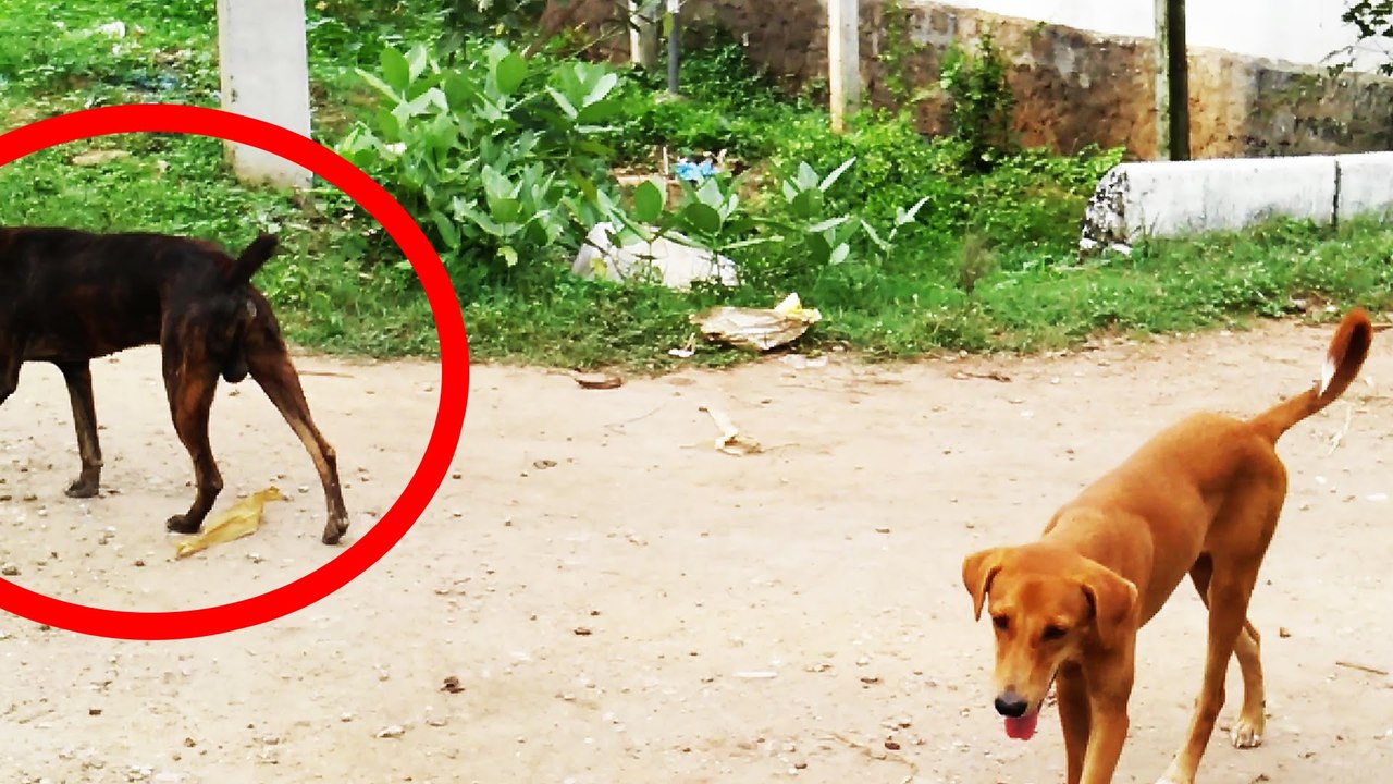 Real Ghost Caught In Haunted Place (Spirit Reflection)