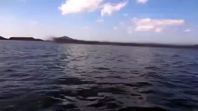 Миграция москитов - это просто жесть!