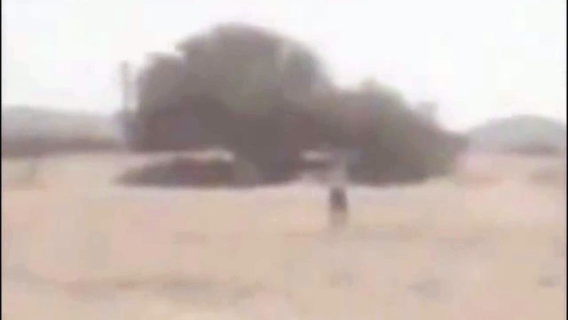 Неведомые существа снятые на видео (нарезка)!