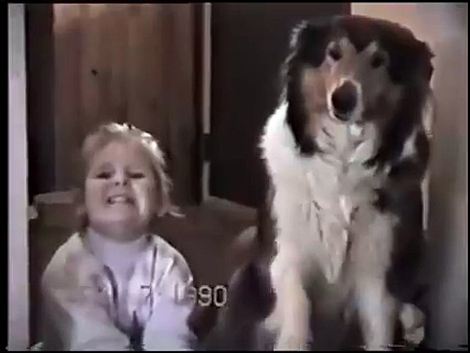 say cheese