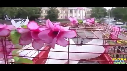 Very funny jokes autumn October November 2015 mega fun Funny cats