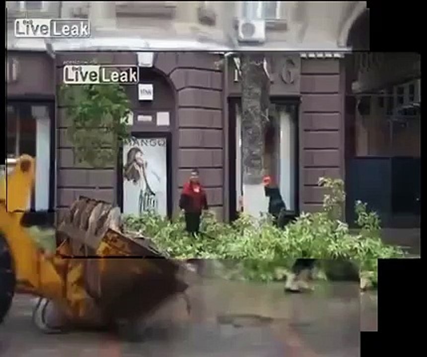 Tree nearly crushes woman stabilized