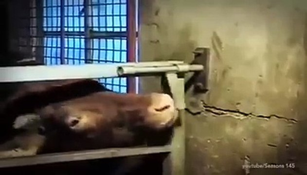 VID-20151007-WA0002.mp4