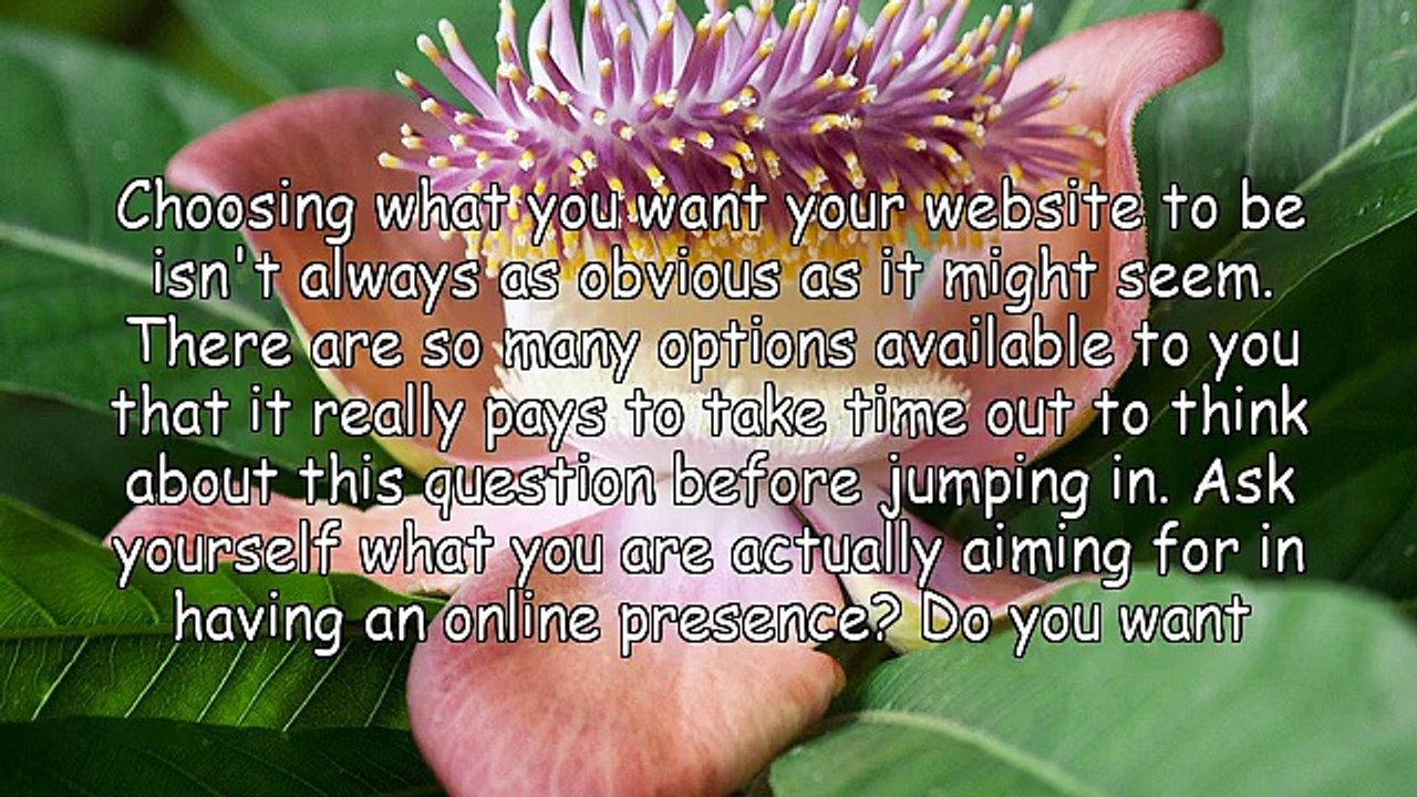 How To Choose The Right Website For You