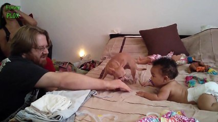 Funny Dogs Protecting Babies Compilation 2015 [NEW HD]