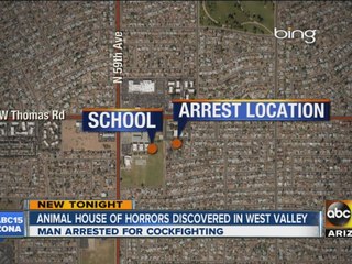 Animal house of horrors discovered in west Valley