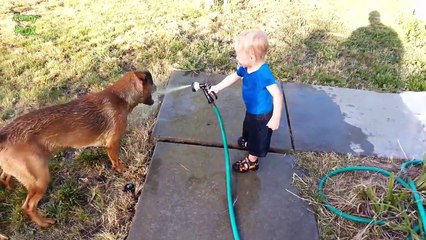 Dogs and Babies Playing with Hoses Compilation 2015 [NEW HD]