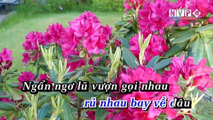 [Karaoke] Sương Trắng Miền Quê Ngoại - Quang Lê Full Beat 1080