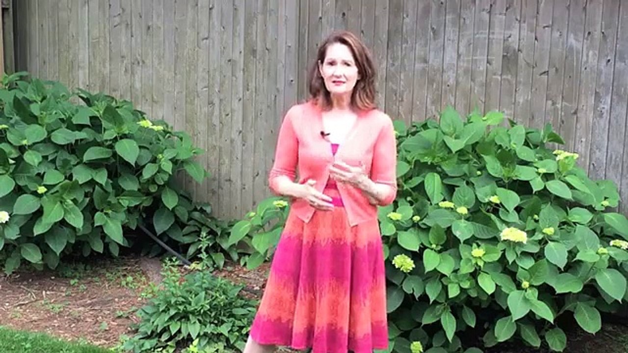 Public Speaking Training by Ruth Sherman on How to Make a Wedding toast