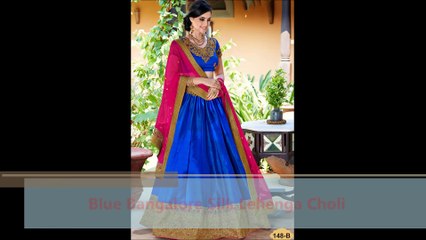 Panel Length Lehenga choli by nik vik