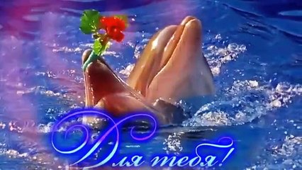 Любимое пожилание другу