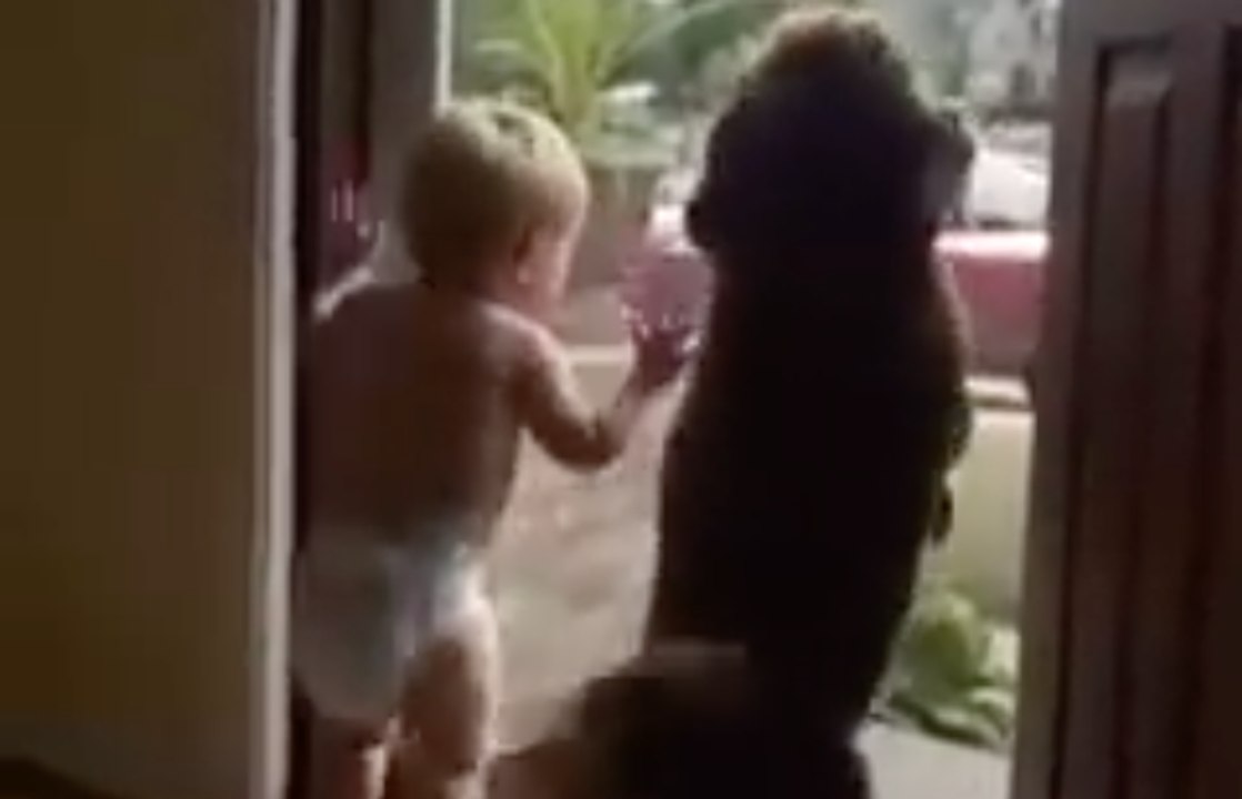 Un bébé et son chien heureux quand papa rentre à la maison