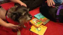 Perros para aprender a leer
