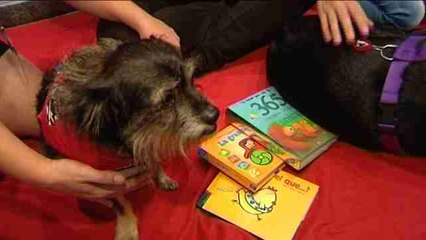 Perros para aprender a leer