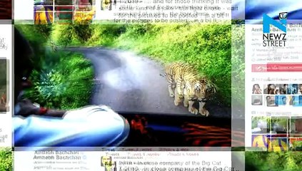 LOL! When tiger recognised it was Amitabh and chased for 4 kms