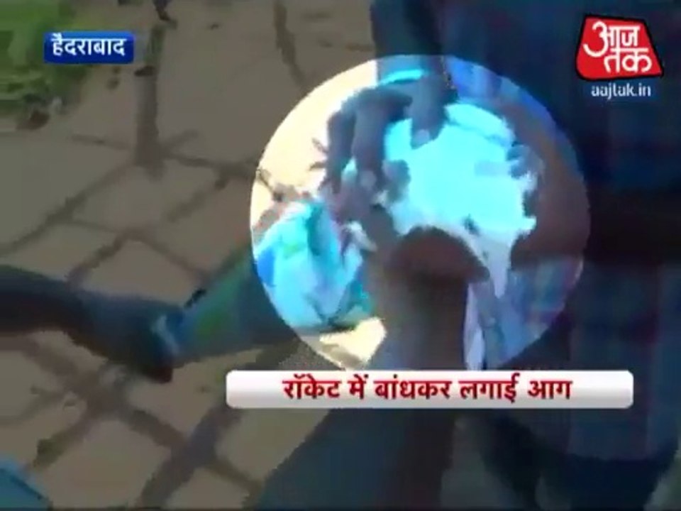 After aressting Pakistani Pigeon now in India  Burned Pigeon Alive - X99TV