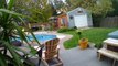 Funny Black Cat Pushes Orange Cat Into Pool