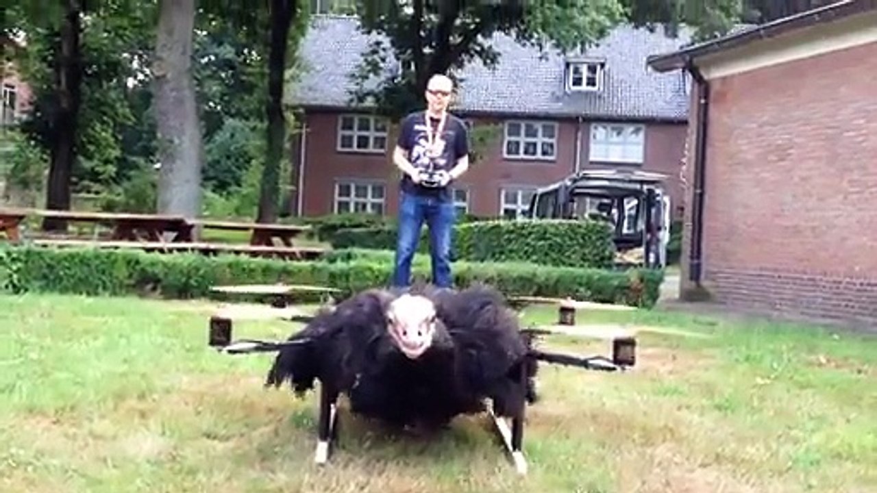 Un drone avec une autruche morte