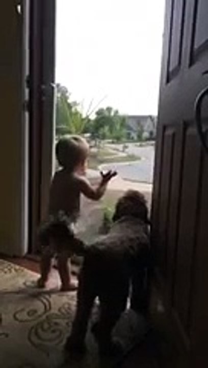 Bébé et le chien sont très heureux de voir papa rentrer