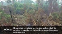 Greenpeace alerte avec des images de drone sur les incendies en Indonésie
