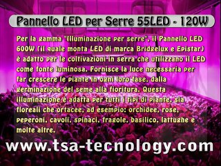 Growlight LED 600W hydroponic   Luci LED per Serre e piante 288 LED   600W idroponica