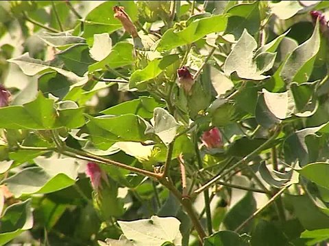Μούσκεμα τα έκανε ο καιρός για τους αγρότες. Διχασμένοι και για τα μπλόκα