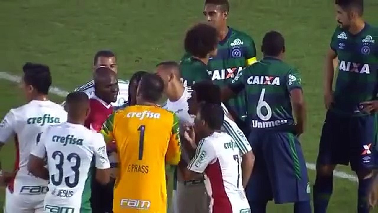 Brésil : l'arbitre l'expulse puis revient sur sa décision et le fait revenir sur le terrain - Palmeiras