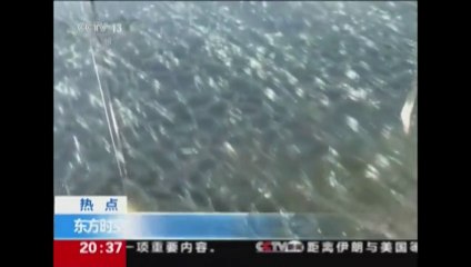 Un pont en verre suspendu à 180 mètres dans le vide se fissure