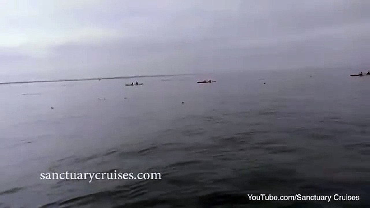 очевидное невероятное