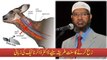 Zibbah Karne Ka Sunnat Tarika By Dr Zakir Naik Must Watch & Share