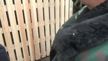 Russie : Un bébé tigre sauvé des griffes de braconniers