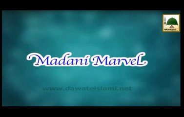 Madani Marvel - English Short Speech
