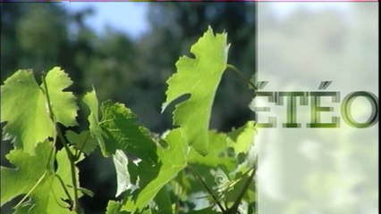 01 Météo du jour