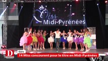 Quatorze Miss concourent pour le titre en Midi-Pyrénées