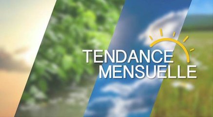 Tendance à 1 mois
