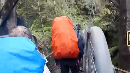 Ils survivent à l’effondrement d’un pont suspendu en Nouvelle-Zélande