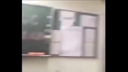 z57 reviews laughs at funnies