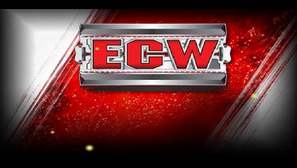 EXCLUSIVE Matt Striker get Comment about Tonight from Austin Aries