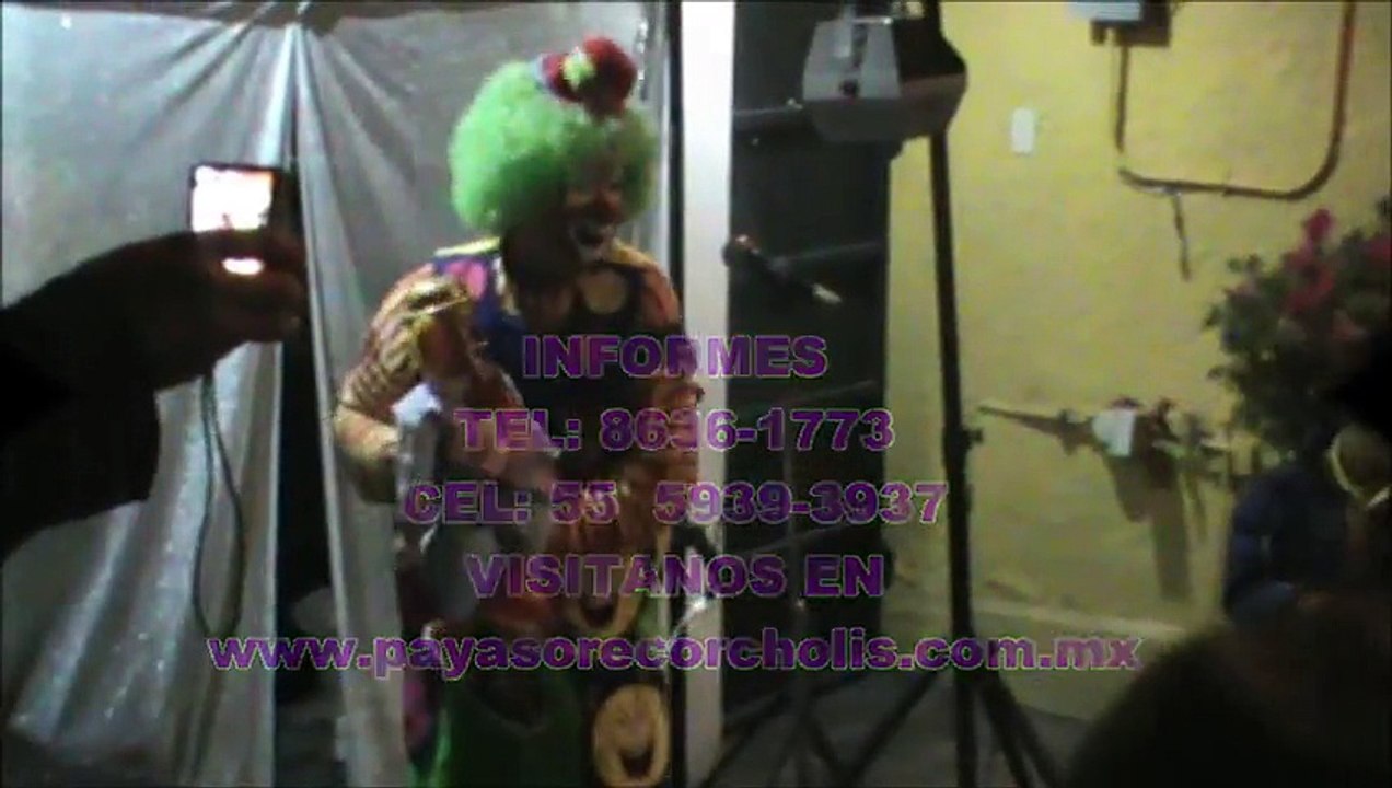 SHOW DE PAYASOS PARA FIESTAS INFANTILES DF /  TEL: 8636-1773