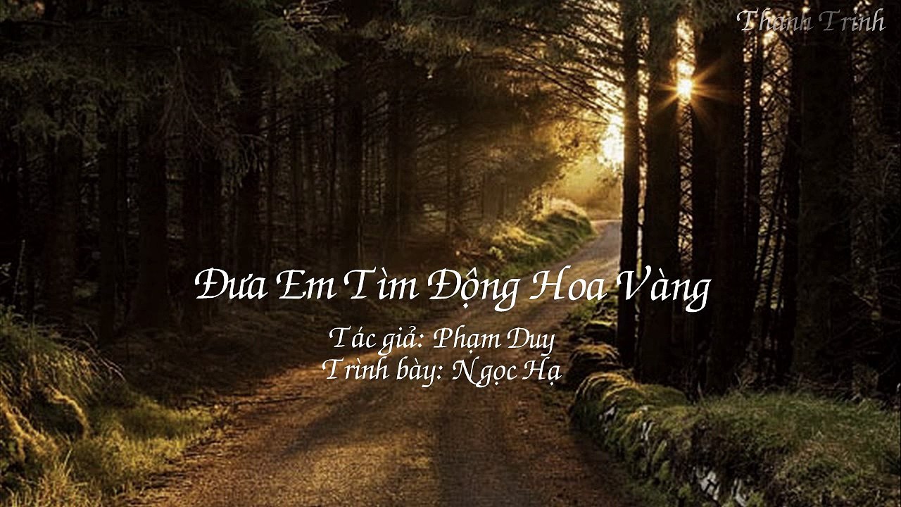 Đưa Em Tìm Động Hoa Vàng - Ngọc Hạ [Lyric on screen]