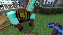 Minecraft Survival: Funny Moments (Gevo_Davo killed my horse)