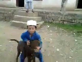 Brave Pathan