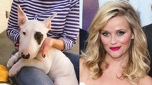 Reese Witherspoon Reveals New Cute Puppy