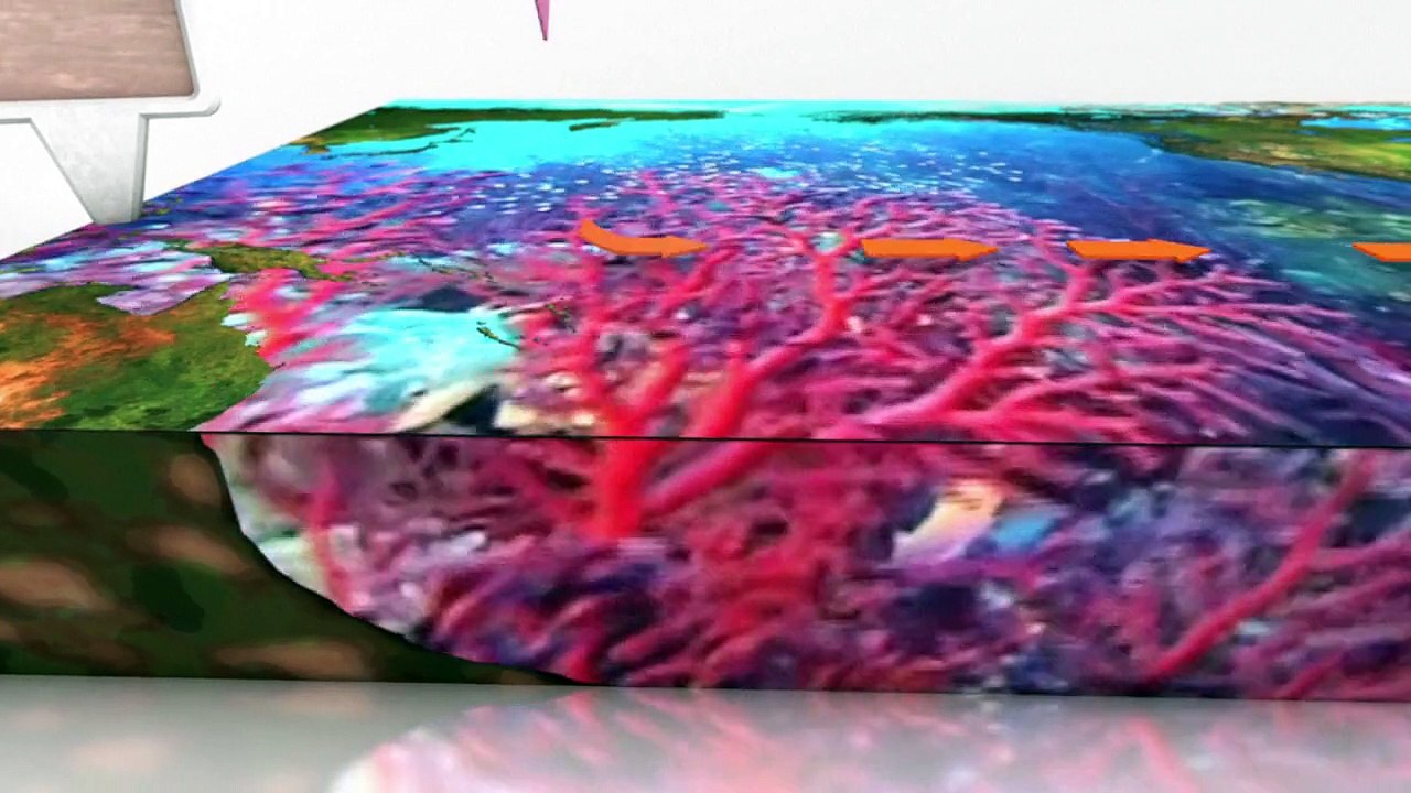 El Niño