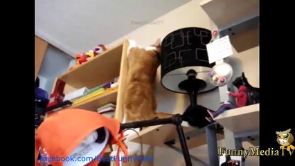 ЛУЧШАЯ ПОДБОРКА ПРИКОЛОВ НОВИНКА АПРЕЛЬ 2014!ЧАСТЬ1